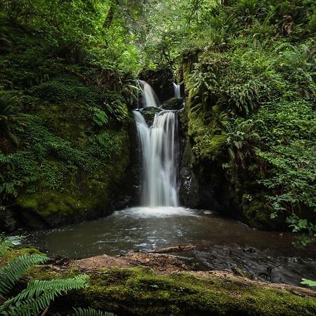 Taylor Creek Lodge Gold Beach Bagian luar foto