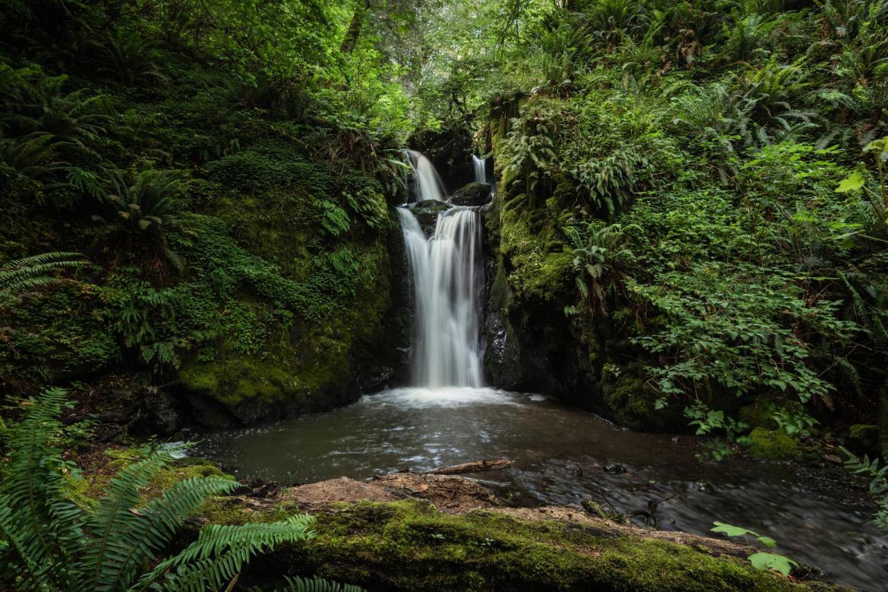 Taylor Creek Lodge Gold Beach Bagian luar foto