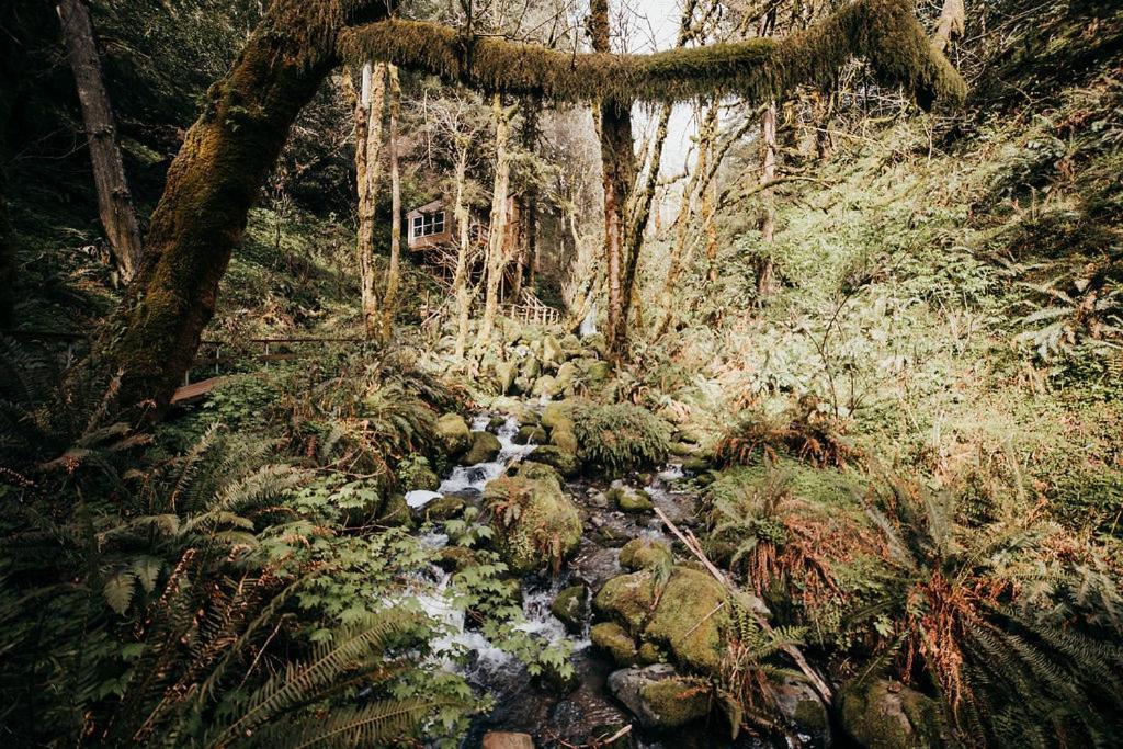 Taylor Creek Lodge Gold Beach Bagian luar foto