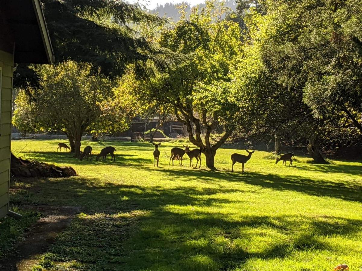 Taylor Creek Lodge Gold Beach Bagian luar foto